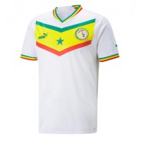 Camisa de Futebol Senegal Equipamento Principal Mundo 2022 Manga Curta